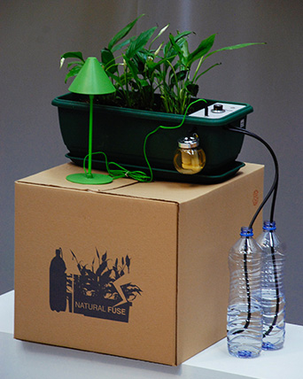 Natural Fuse plant pot that monitors water levels and irrigates the plant