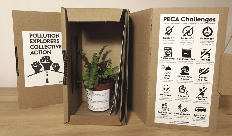 PECA Plant & Challenges - a Boston Fern known for improving air quality